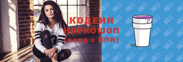 гашик Няндома