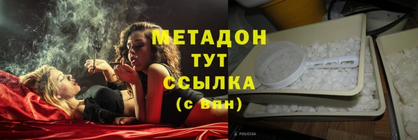 гашик Няндома
