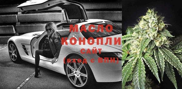 гашик Няндома