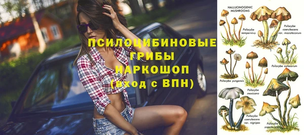 гашик Няндома