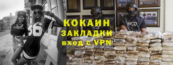 гашик Няндома