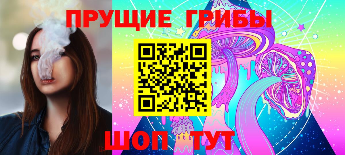 Псилоцибиновые грибы Psilocybe  Вход с VPN  Кирово-Чепецк 